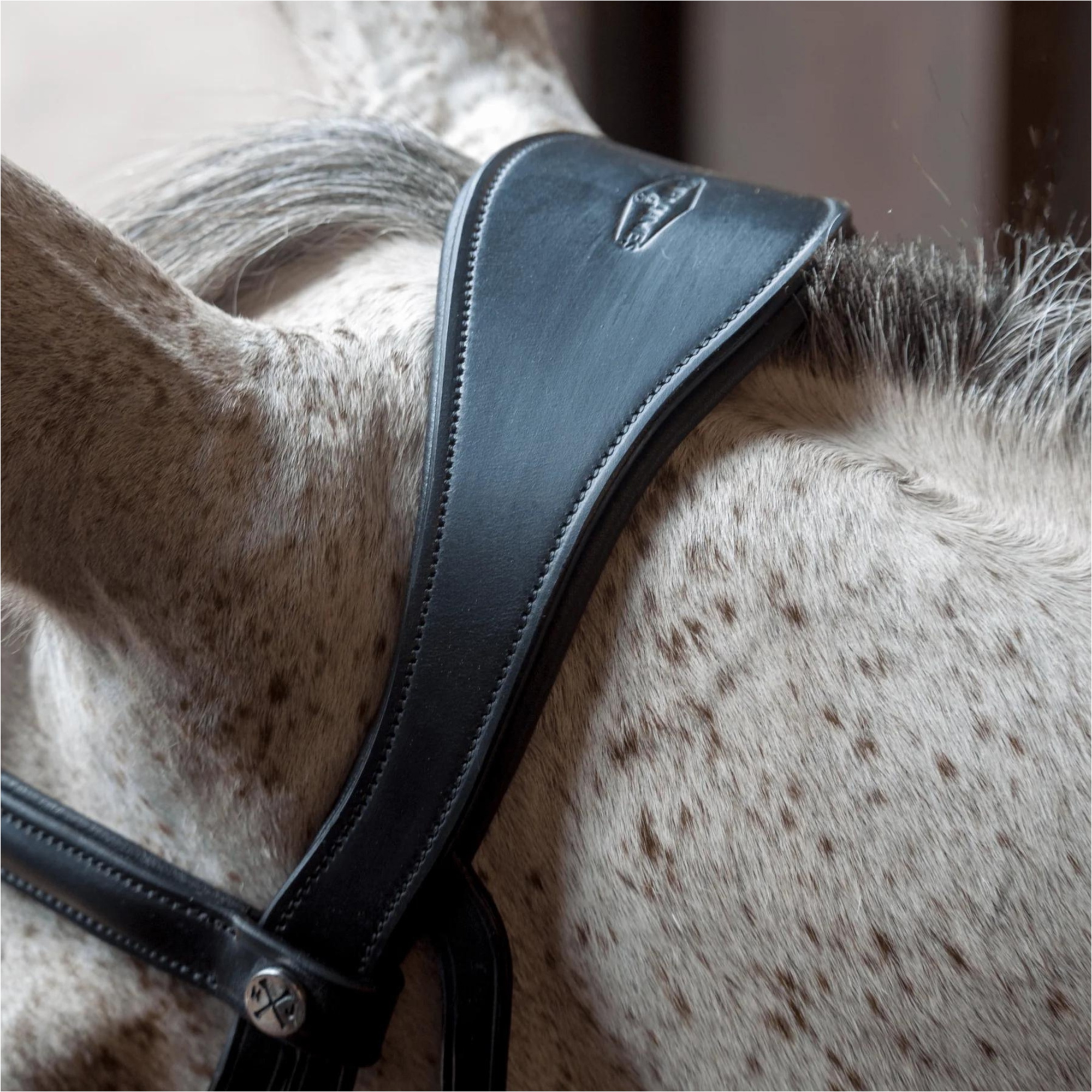 Henry James Cavesson Bridle HJ-BR-01 - BLACK